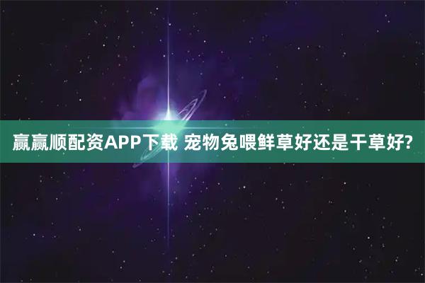 赢赢顺配资APP下载 宠物兔喂鲜草好还是干草好?
