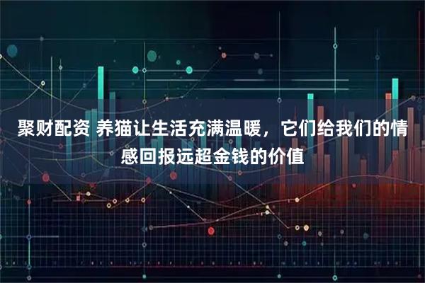 聚财配资 养猫让生活充满温暖,它们给我们的情感回报远超金钱的价值