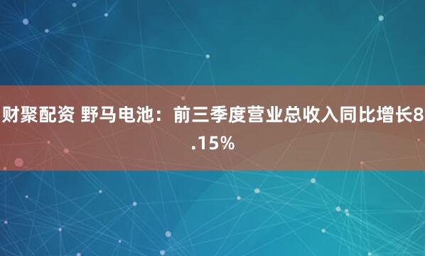 财聚配资 野马电池：前三季度营业总收入同比增长8.15%
