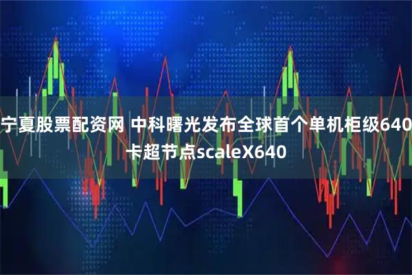 宁夏股票配资网 中科曙光发布全球首个单机柜级640卡超节点scaleX640