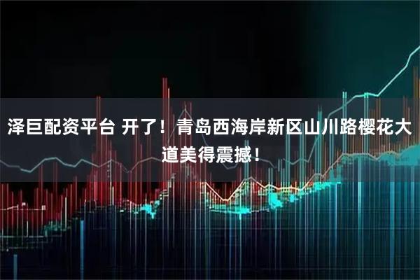 泽巨配资平台 开了！青岛西海岸新区山川路樱花大道美得震撼！