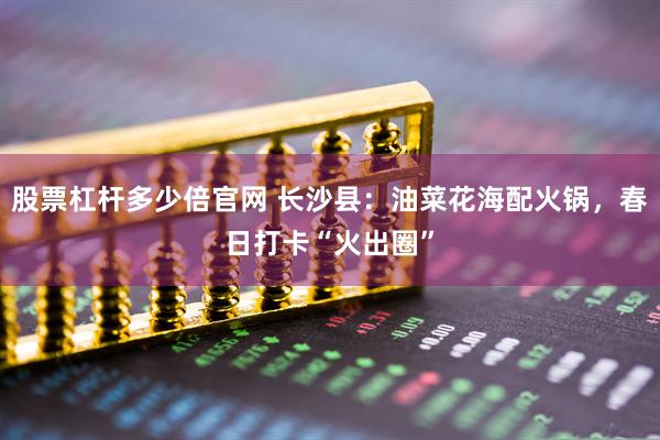 股票杠杆多少倍官网 长沙县：油菜花海配火锅，春日打卡“火出圈”