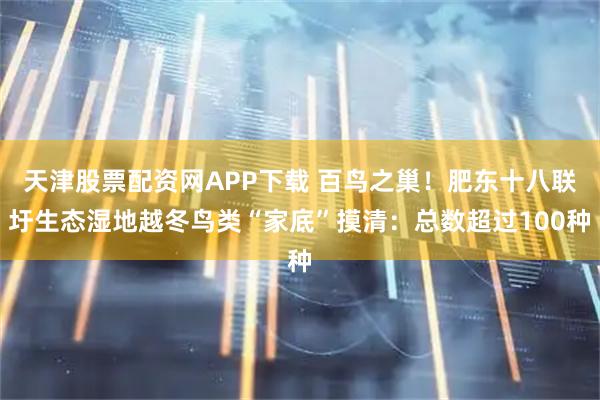 天津股票配资网APP下载 百鸟之巢！肥东十八联圩生态湿地越冬鸟类“家底”摸清：总数超过100种